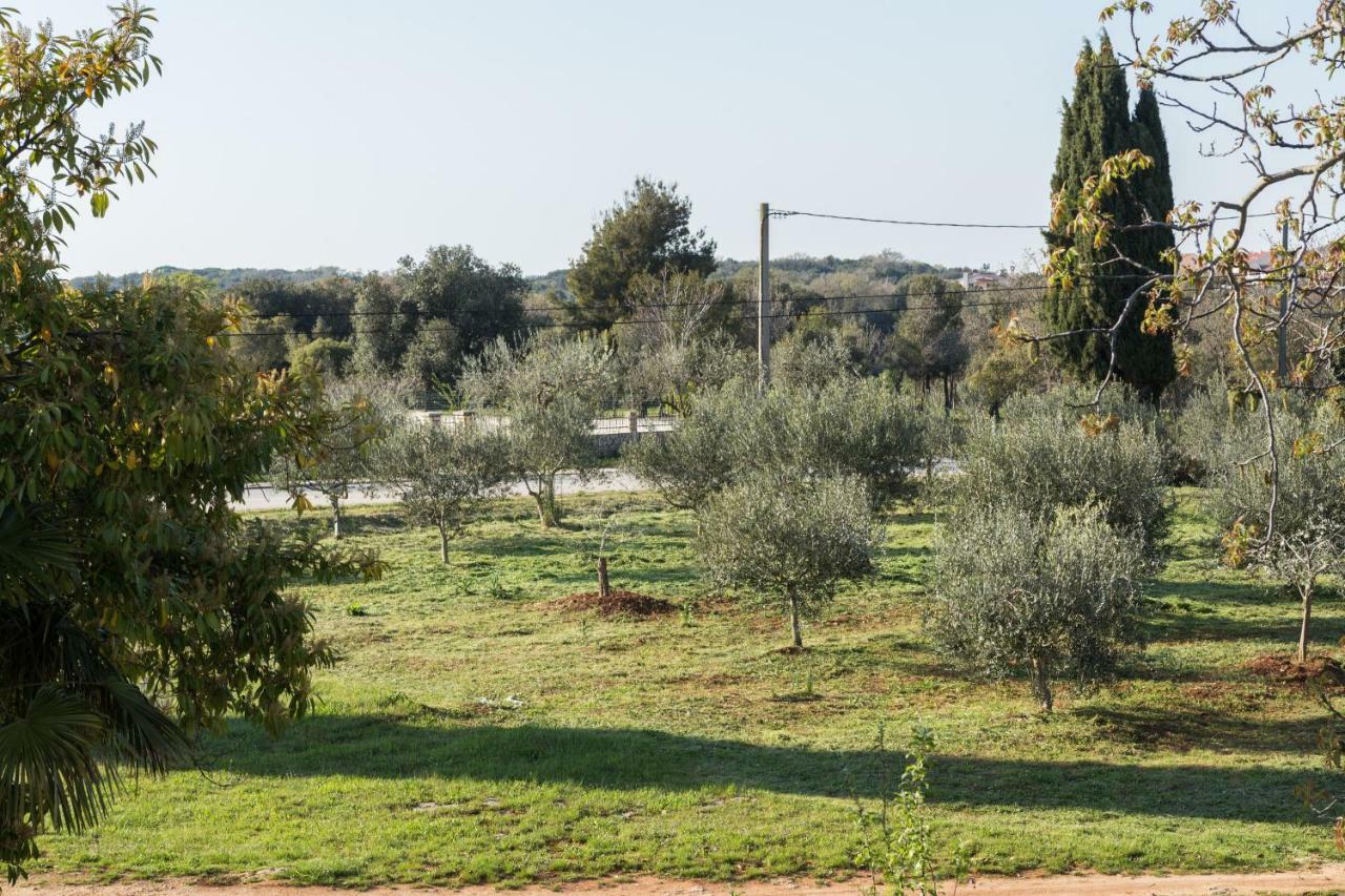 Studio Andrea Rovinj Kültér fotó